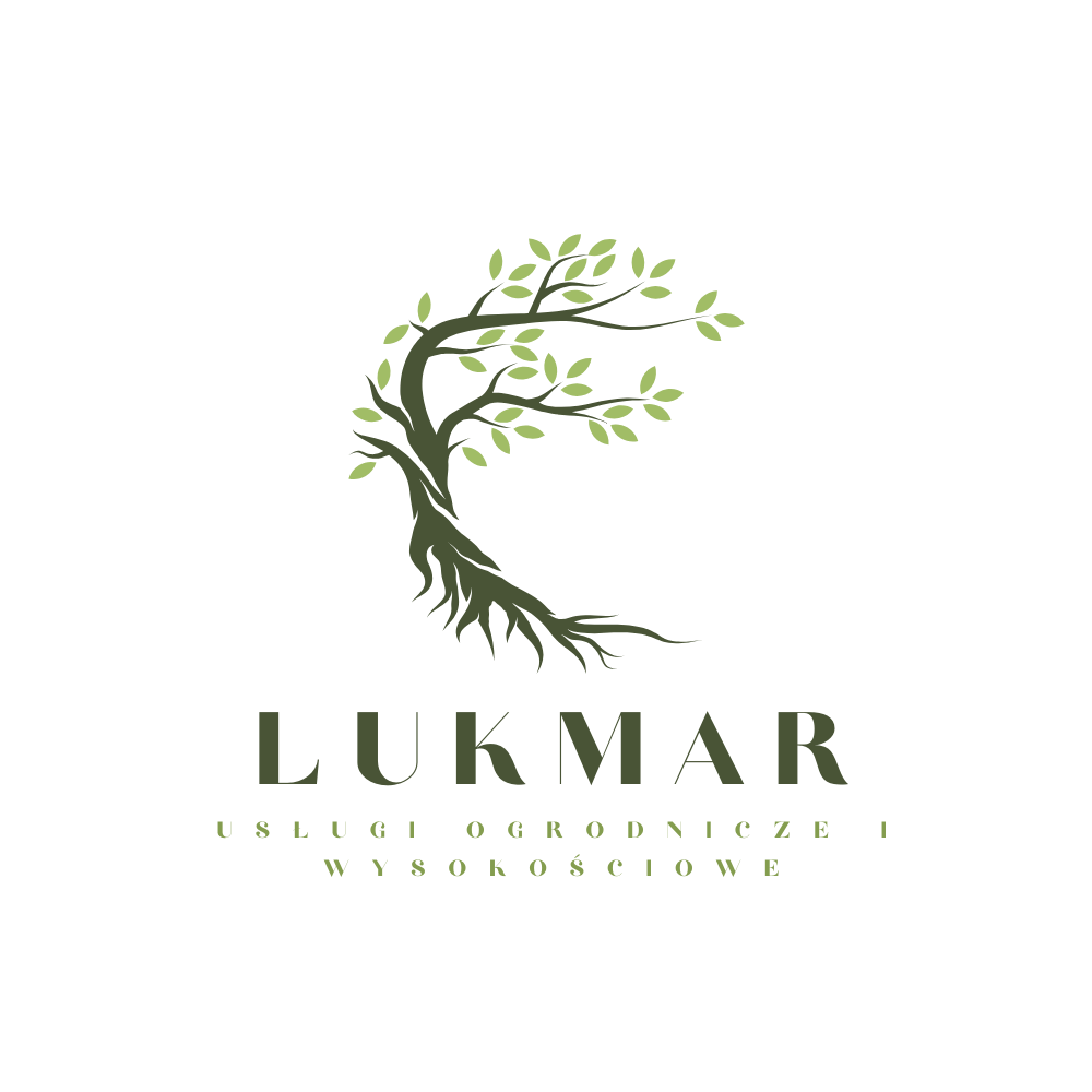 nowe logo llukmar